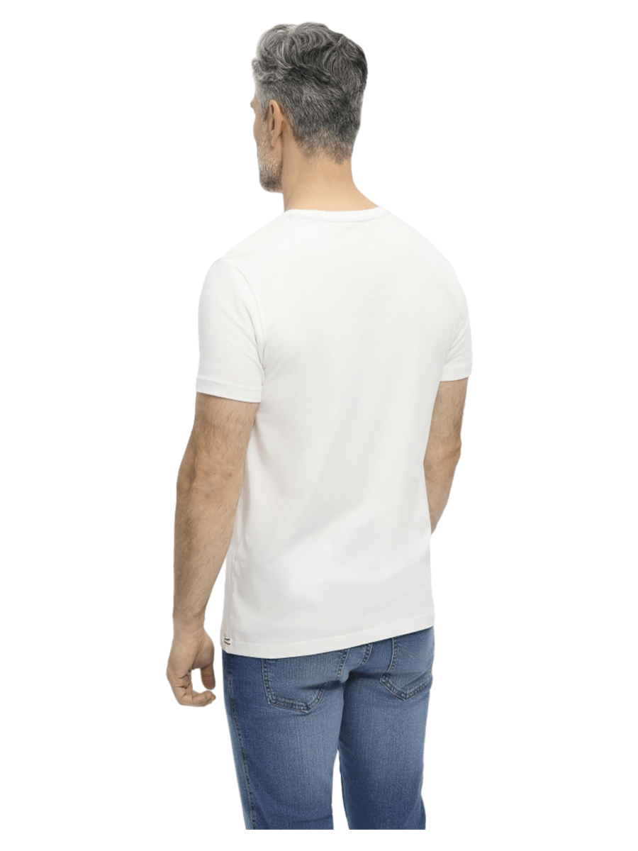 REDGREEN T-shirts / Polo 152000001-white_M - Bygholm Menswear