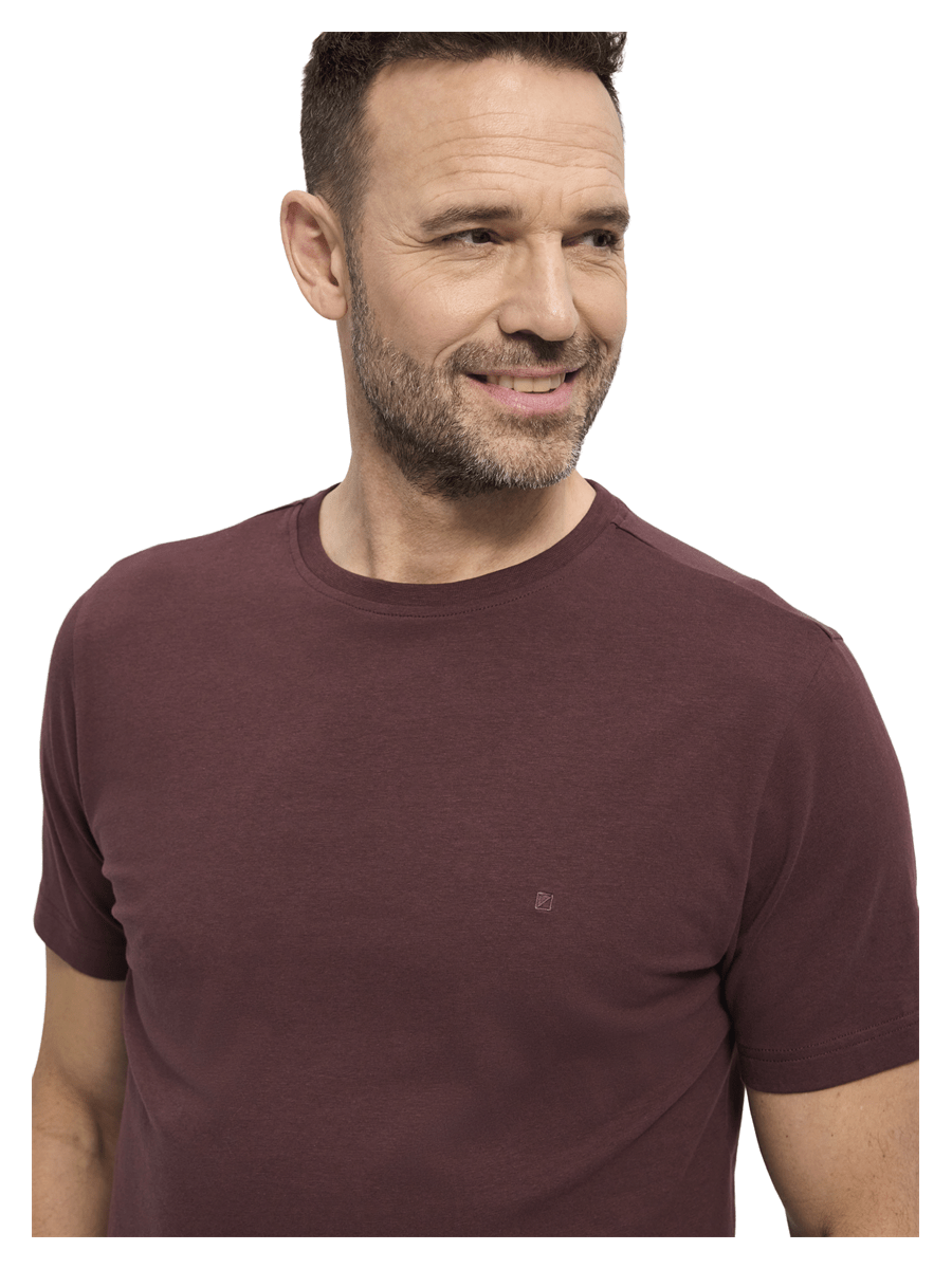 REDGREEN T-shirts / Polo 152032501-eggplant_6XL - Bygholm Menswear