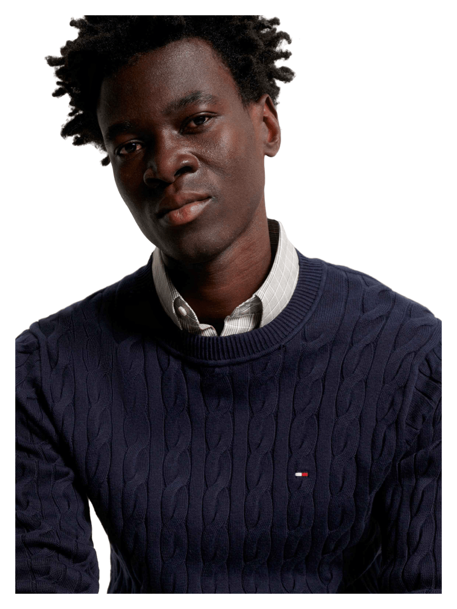 Tommy Hilfiger Strik & Sweat mw0mw33132-dw5_M - Bygholm Menswear